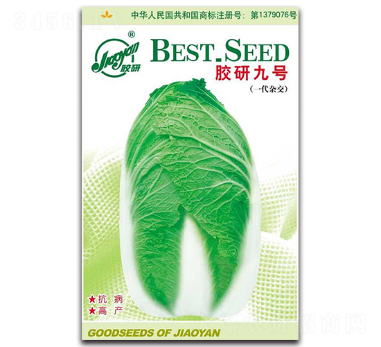 �z�о�̖-�ﲥ�ײ˷N��-�z��