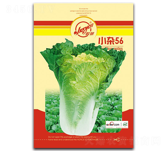 С�s56-�ﲥ�ײ˷N��-�z��