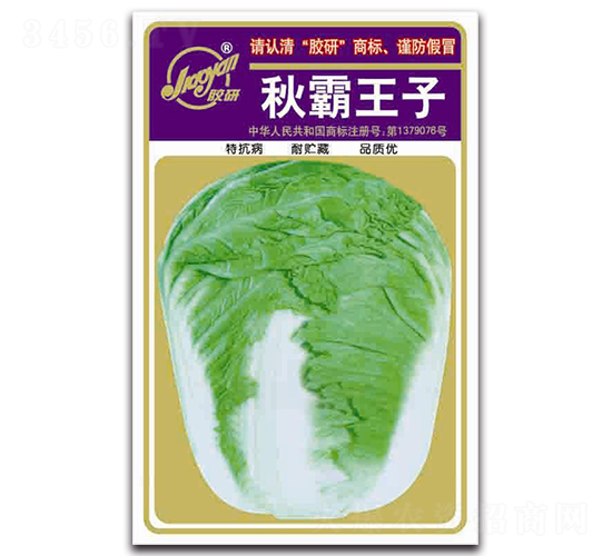 �������-�ﲥ�ײ˷N��-�z��