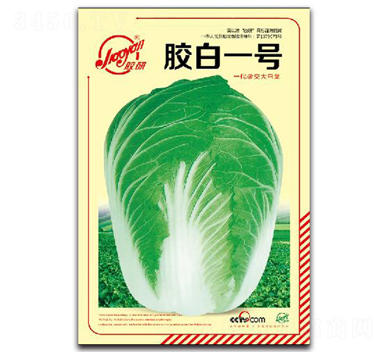 �z��һ̖-�ﲥ�ײ˷N��-�z��