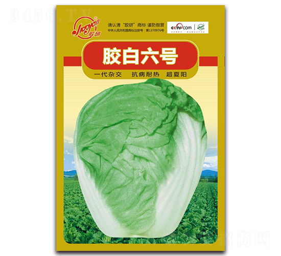 �z����̖-�ﲥ�ײ˷N��-�z��