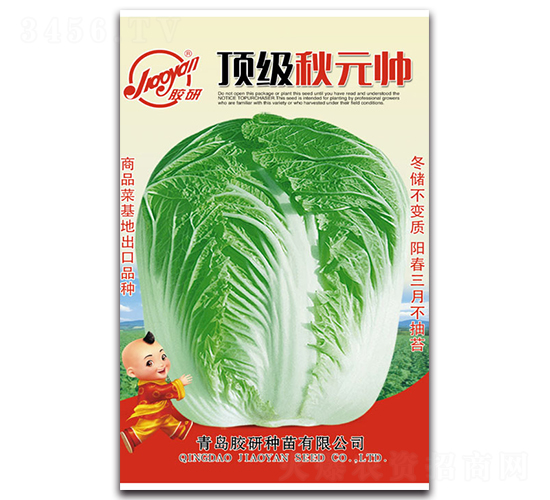 피���Ԫ��-�ﲥ�ײ˷N��-�z��