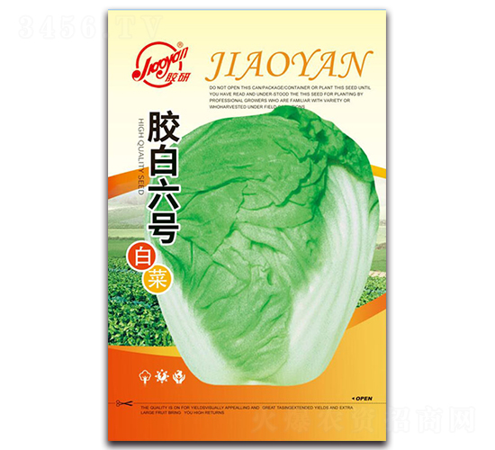 �z���z����̖-�ﲥ�ײ˷N��-�z��