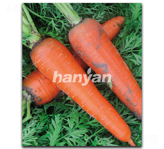 �h�u(y��)��̖(h��o)-���}���N��-�h��