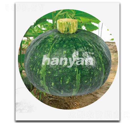 �h���ڌ�-�ϹϷN��-�h��