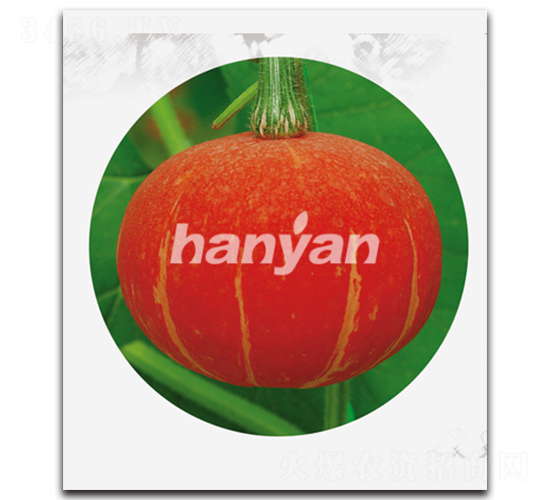 �h���t�\(y��n)-�ϹϷN��-�h��