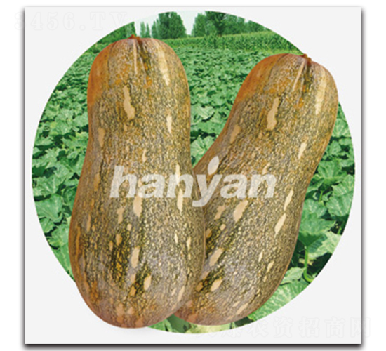 �h��һ̖-�ϹϷN��-�h��