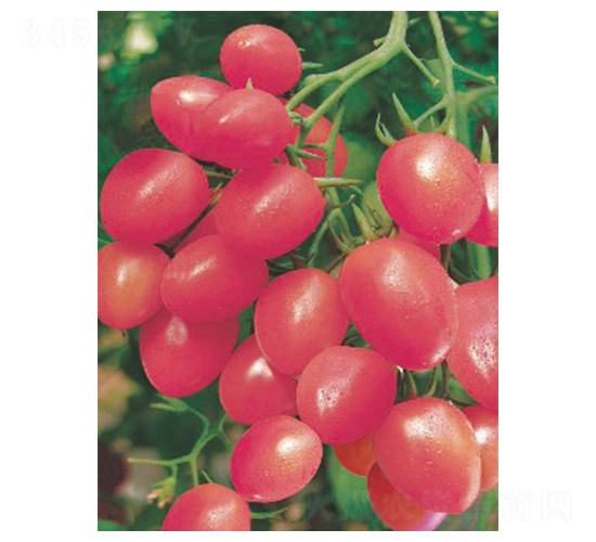 ��������-���ѷN��-���N