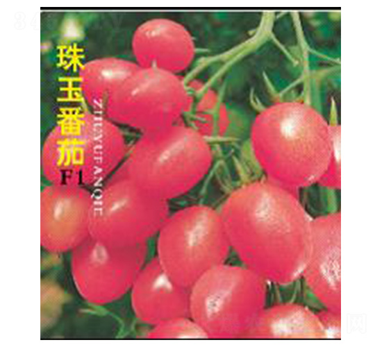 ����-���ѷN��-���N