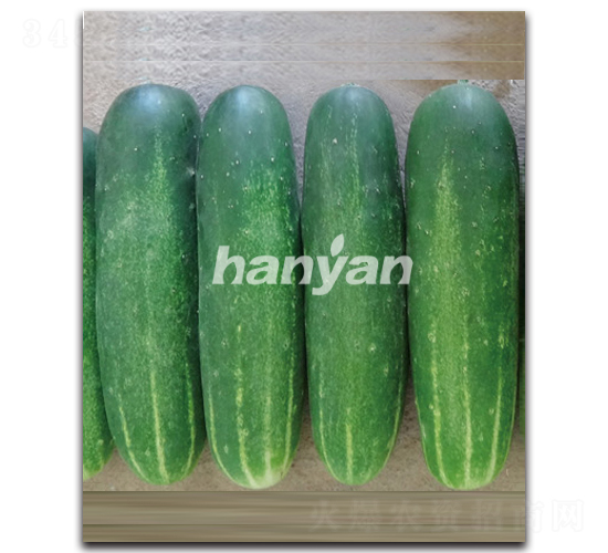 �h��һ̖(h��o)-�S�ϷN��-�h��