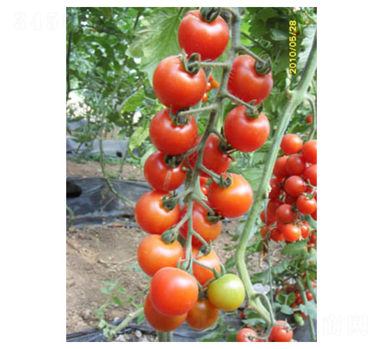 �tؐ-���ѷN��-���N