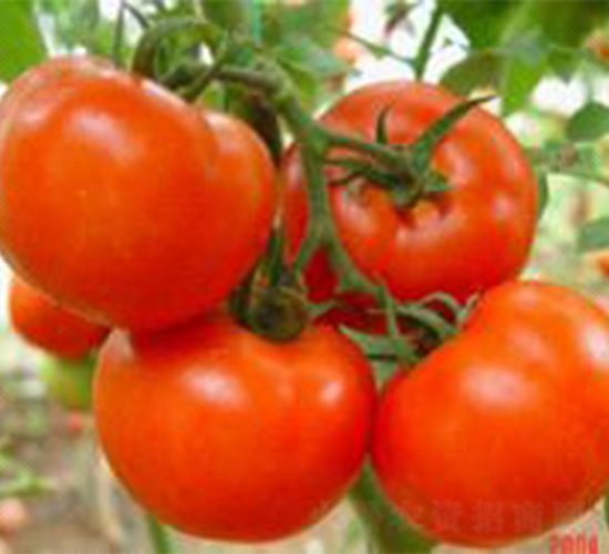 �~��-���ѷN��-���N