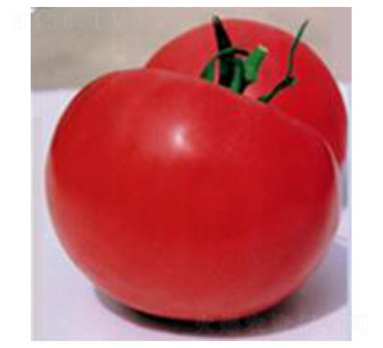 �R��-���ѷN��-���N