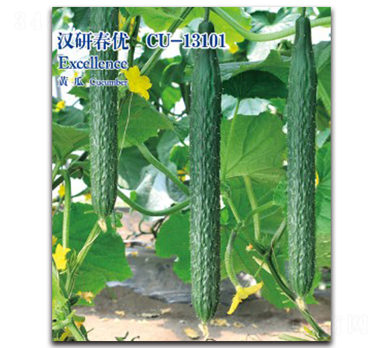 �h�д���(y��u)-�S�ϷN��-�h��