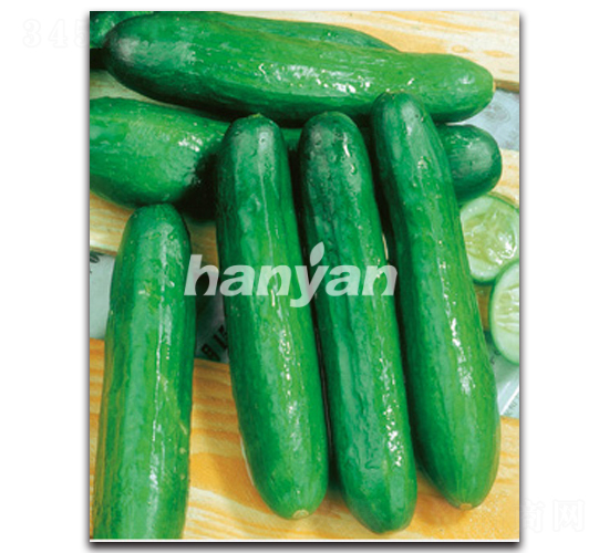 �h������7̖-�S�ϷN��-�h��