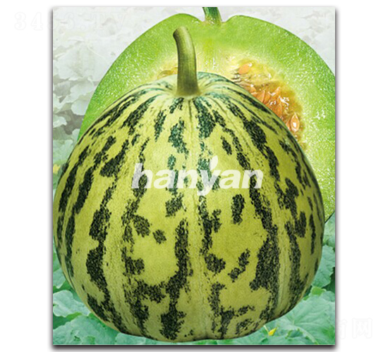 �h����-��ϷN��-�h��