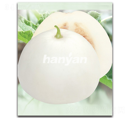 �h�����-��ϷN��-�h��