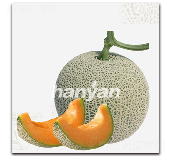 �h�W(w��ng)��̖(h��o)-��ϷN��-�h��