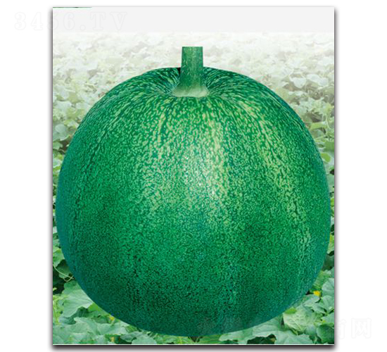 �h��G��-��ϷN��-�h��