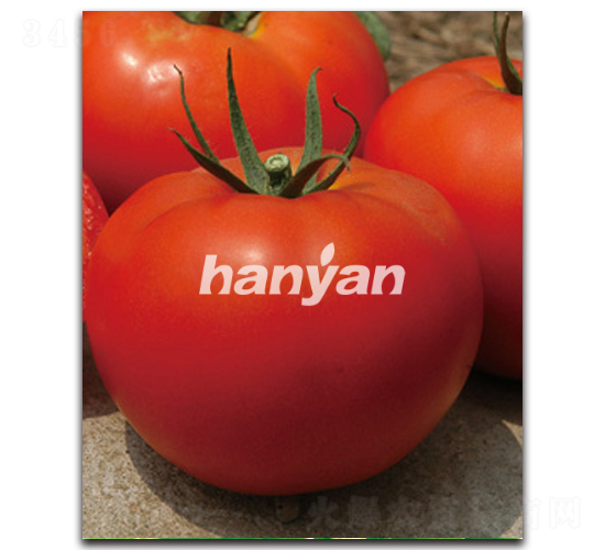 �h�rһ̖(h��o)��T-22301��-���ѷN��-�h��