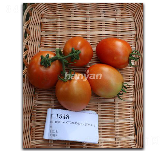 �_�Rһ̖(h��o)-���ѷN��-�h��