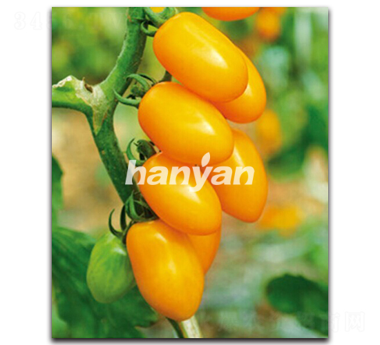 �h�ѽ���-���ѷN��-�h��