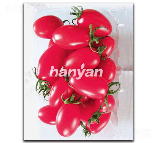 �h�ѷ���-���ѷN��-�h��