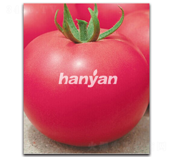 �h����̖(h��o)-���ѷN��-�h��