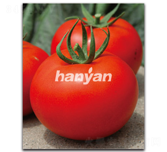 �hӯ��̖(h��o)-���ѷN��-�h��