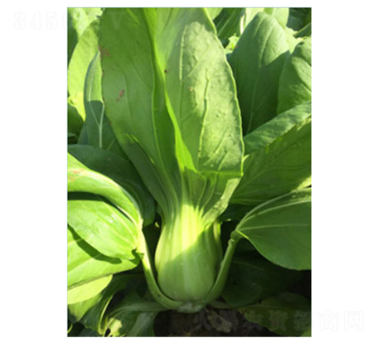 732-�๣�˷N��-���N