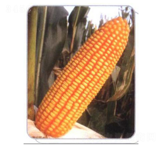 LZ07-���׷N��-���N