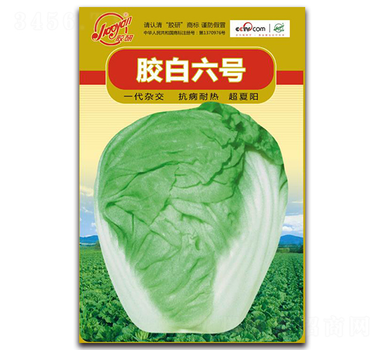 �z����̖(h��o)-�Ĳ��ײ˷N��-�z��