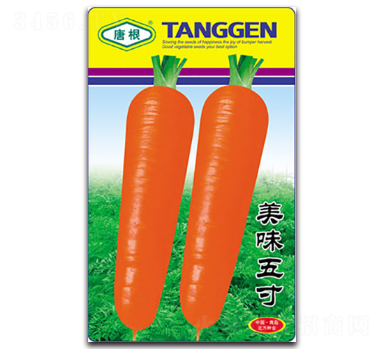 ��ζ���-�}���N��-�����N�I(y��)