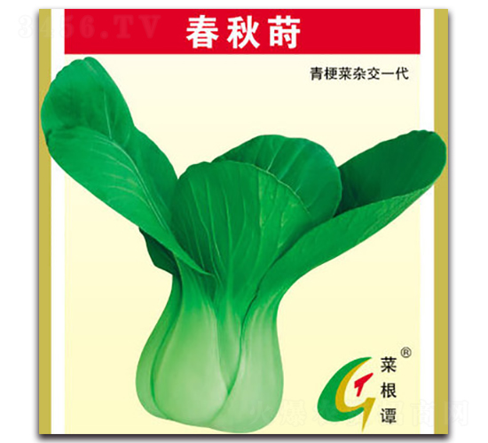 �����P-�๣�˷N��-�����N�I(y��)