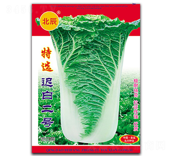 ���x�t�׶�̖-�t�ײ˷N��-�����N�I(y��)