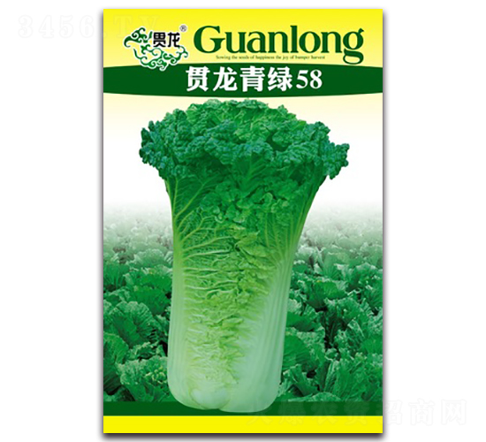 ؞����G58-�t�ײ˷N��-�����N�I(y��)