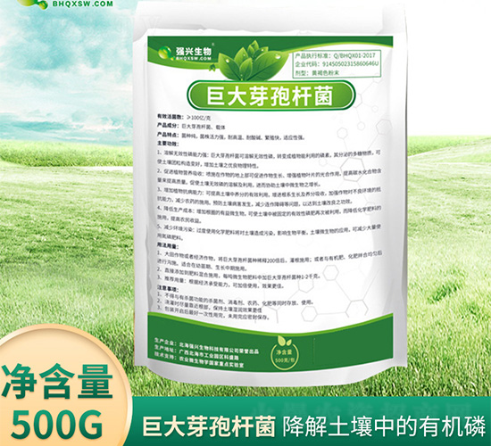 �޴�ѿ�ߗU��-���d����