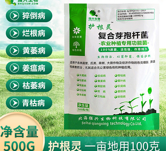 �ͺ�ѿ�ߗU��-�o���`-���d����