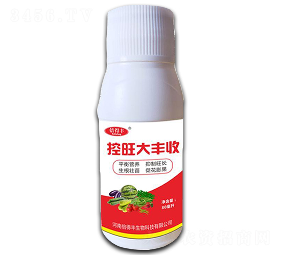 �������S��-�����S