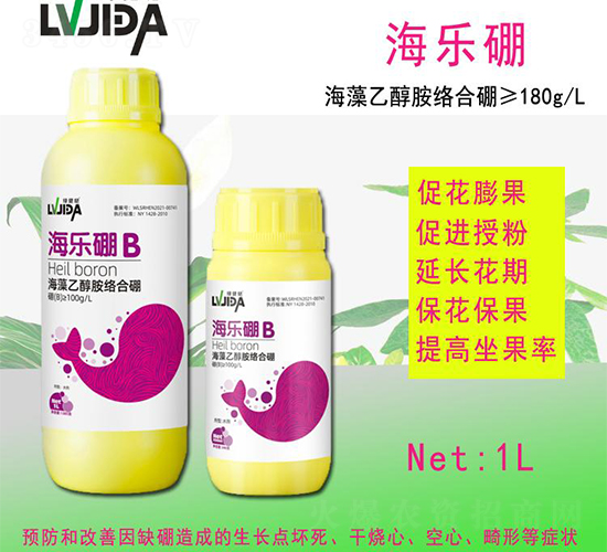 ������-������