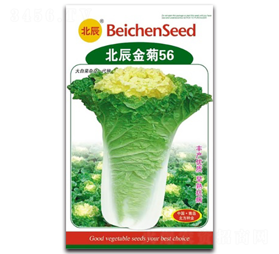 �������56-��ײ˷N��-�����N�I(y��)