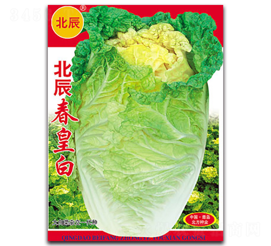 �������ʰ�-��ײ˷N��-�����N�I(y��)