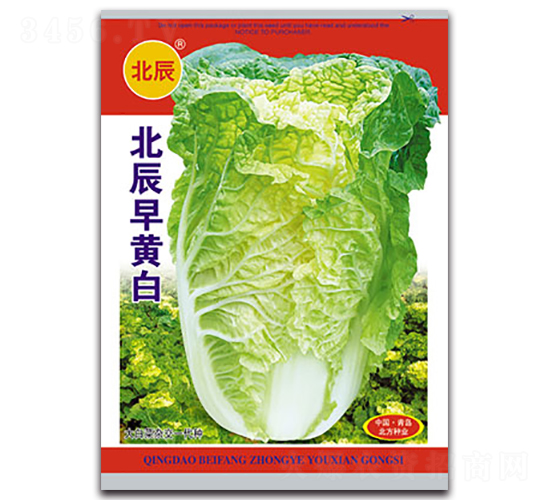 �������S��-��ײ˷N��-�����N�I(y��)