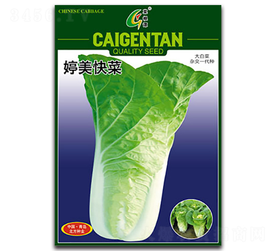 �������-��˷N��-�����N�I(y��)