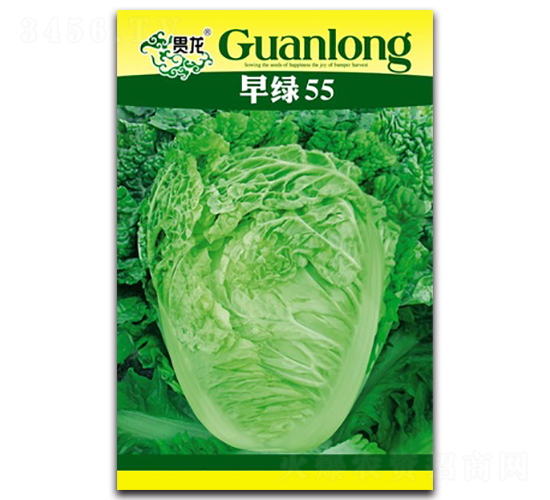 ��G55-��ײ˷N��-�����N�I(y��)