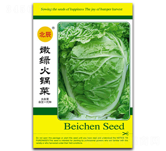 �۾G��偲�-��ײ˷N��-�����N�I(y��)