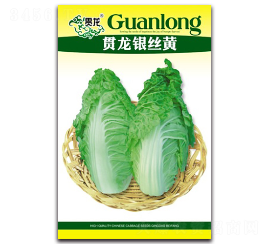 ؞���y�z�S-��ײ˷N��-�����N�I(y��)