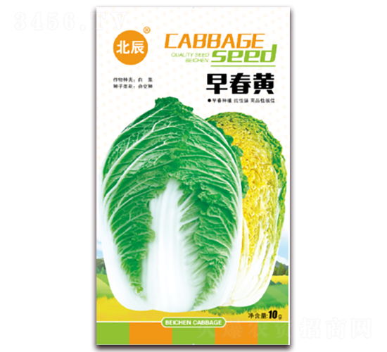 �紺�S-��ײ˷N��-�����N�I(y��)