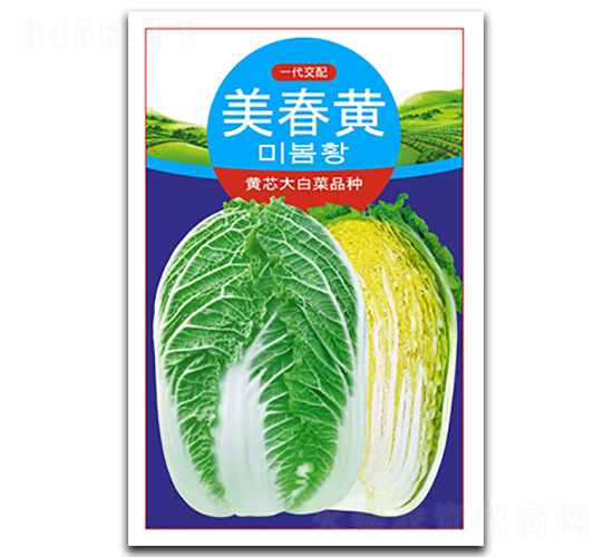 �����S-��ײ˷N��-�����N�I(y��)