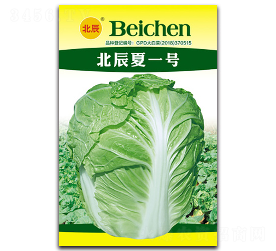 ������һ̖-��ײ˷N��-�����N�I(y��)